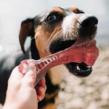 Durable Bone-Shaped Dog Chew Toy for Aggressive Chewers - Perfect for Large Dogs!