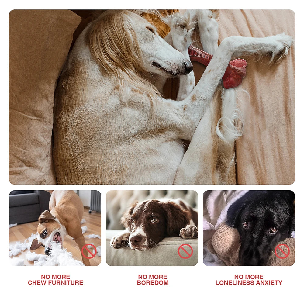 Durable Bone-Shaped Dog Chew Toy for Aggressive Chewers - Perfect for Large Dogs!