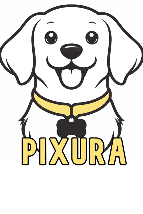 Pixura